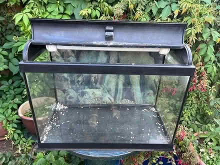 Photo of free Glass fish tank (Cambridge CB1 (Romsey)) #3