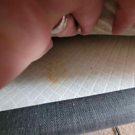 Photo of free Single bed - base and headboard (West Southbourne BH6) #2