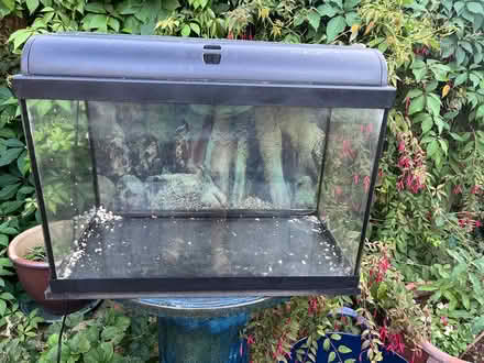 Photo of free Glass fish tank (Cambridge CB1 (Romsey)) #1