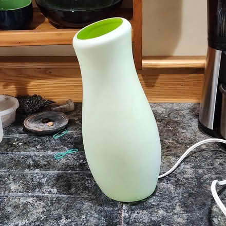 Photo of free decorative lamp (Cambridge, near Western Ave) #2