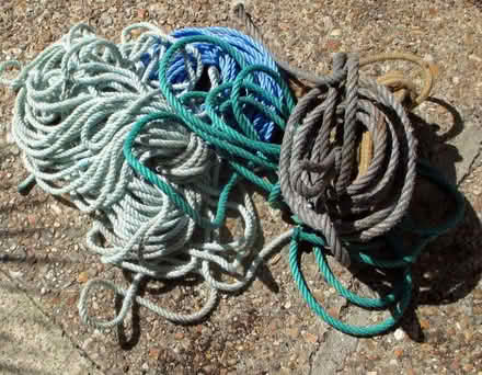 Photo of free A bundle of rope (Pebsham TN40) #1