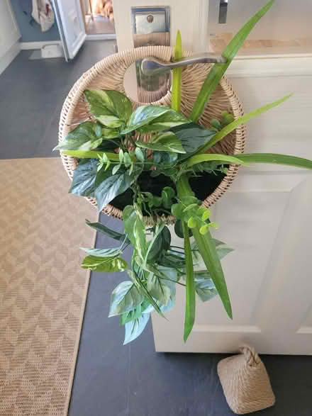 Photo of free Hanging faux foliage arrangement (OX15 bloxham) #1