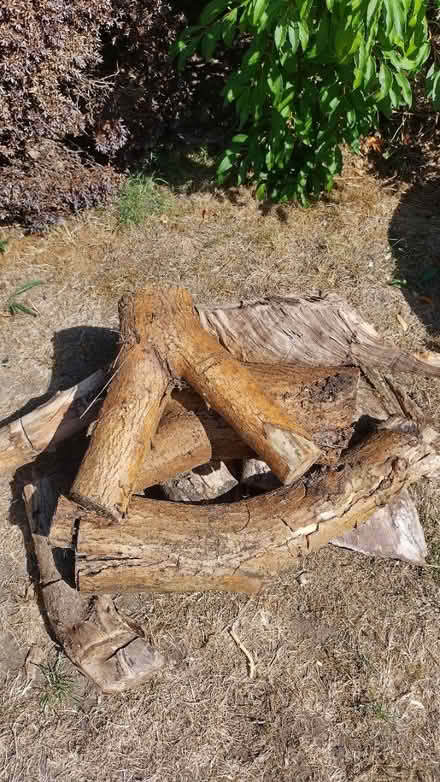 Photo of free Well dried / Seasoned Logs (Earley, Reading, RG6) #1