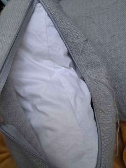Photo of free 2 Sofa Cushions (Weybridge KT13) #2