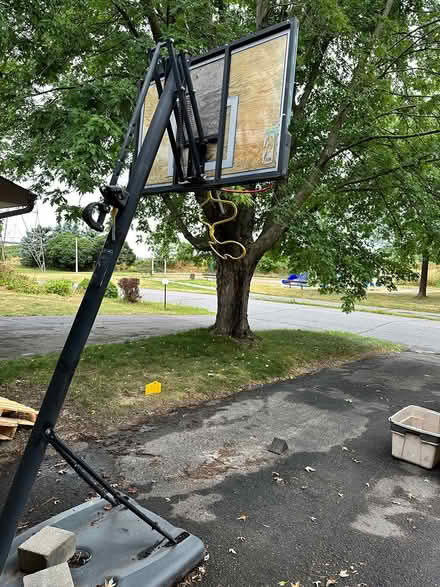 Photo of free Basketball Net and Stand (Beaverbrook) #2