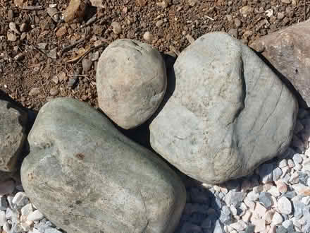 Photo of Garden Rocks (Welwyn AL6) #2