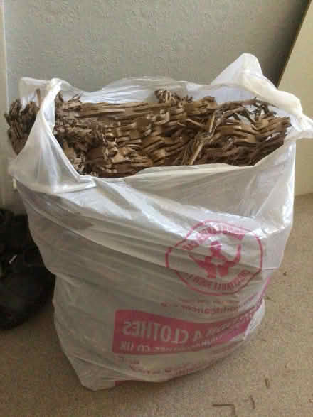 Photo of free Shredded cardboard for packing (Eastbourne BN21) #1