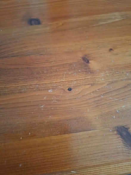 Photo of free Solid pine shelf (Newcastle under Lyme SP5) #3