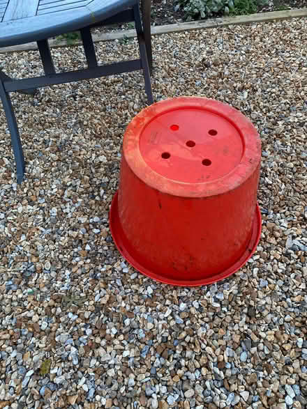 Photo of free large orange pot (Broadwater BN14) #1