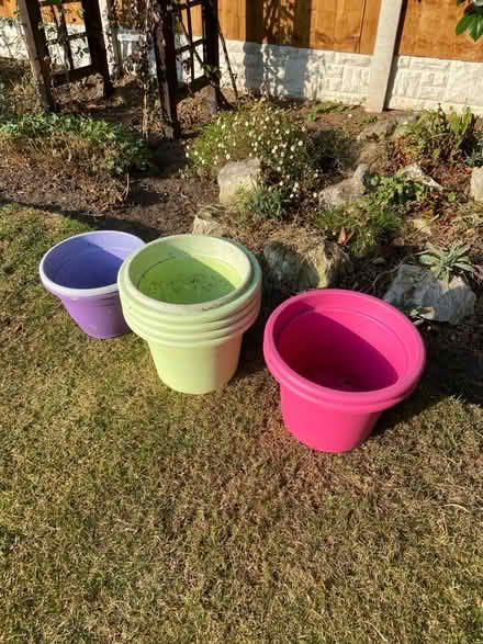 Photo of free Coloured plant pots (Aigburth L19) #1