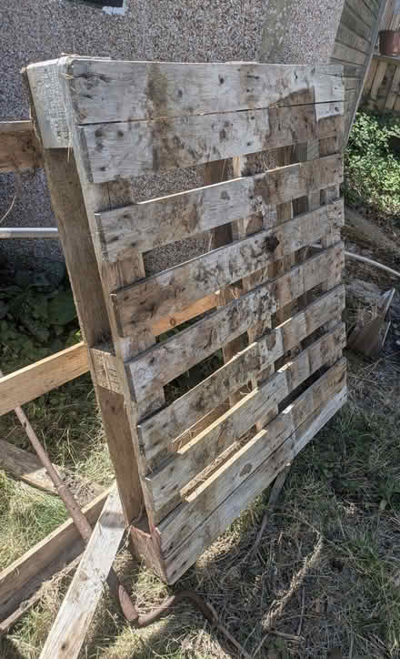 Photo of free Wooden pallet (GU52) #1
