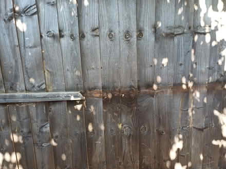 Photo of free Fence panels (Hemel hempstead) #3