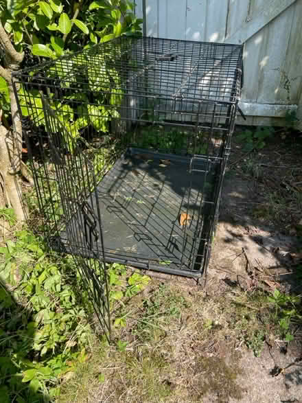 Photo of free Dog crate ST15 Hilderstone (ST15 Stone) #1