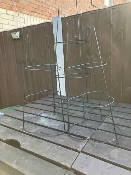 Photo of free Garden Plant Supports x 3 (Basildon SS14) #1