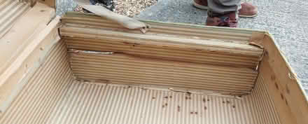 Photo of free Vintage Steamer Trunk (Wickford SS12) #4