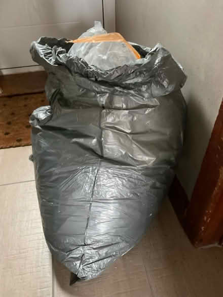 Photo of free Saw dust (North Norwich) #2