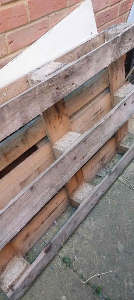 Photo of free 3 Pallets (weedon) #1