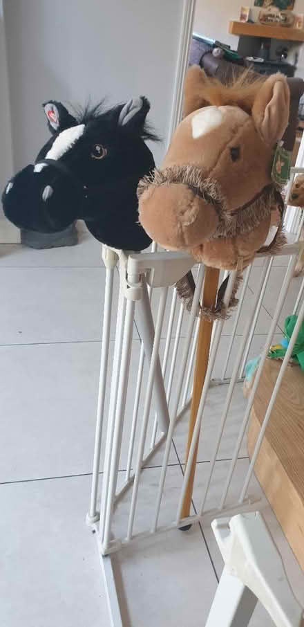 Photo of free Hobby horse (Ferring BN12 area.) #1