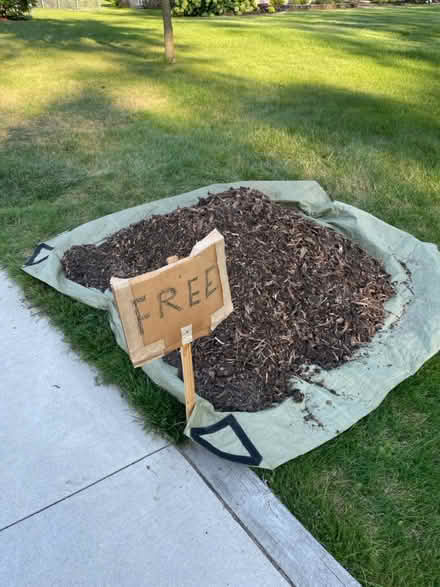 Photo of free mulch/wood chips (Farmington Hills 12 mile) #1