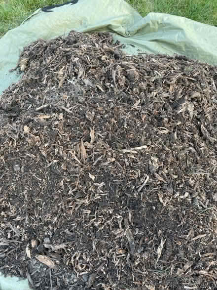 Photo of free mulch/wood chips (Farmington Hills 12 mile) #2