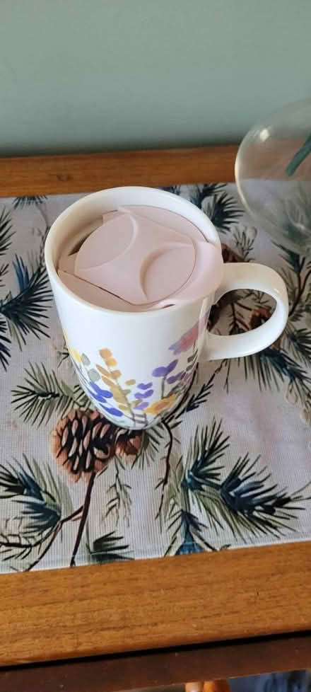 Photo of free Large mug with lid (Albany park) #2