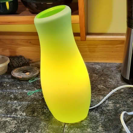 Photo of free decorative lamp (Cambridge, near Western Ave) #1