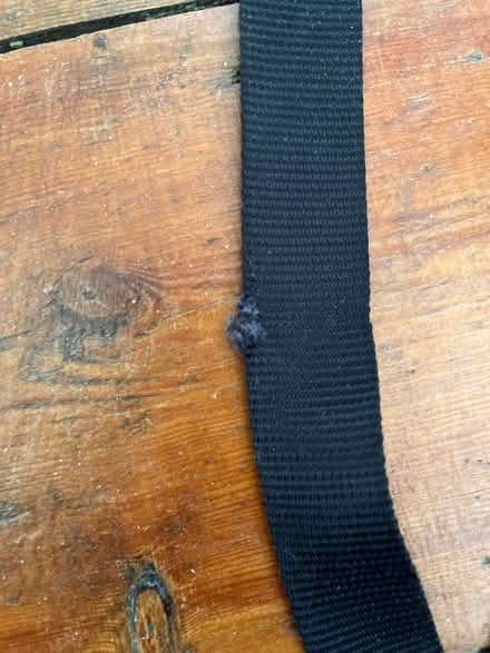 Photo of free 2 dog collar and 1 lead (Woodlands TW7) #2