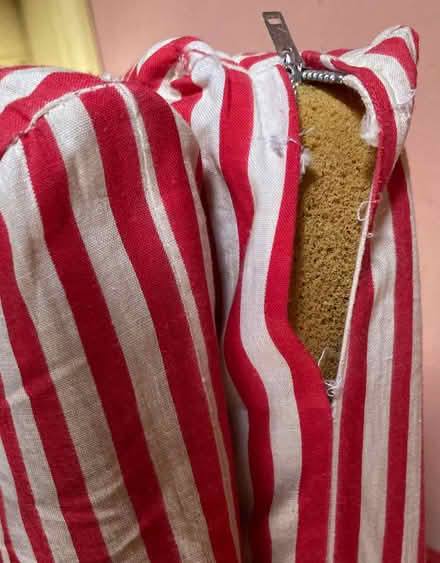 Photo of free Single zed bed (Honor Oak SE23) #3