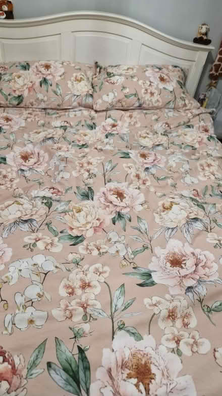 Photo of free Double bed and matress (AL2) #3