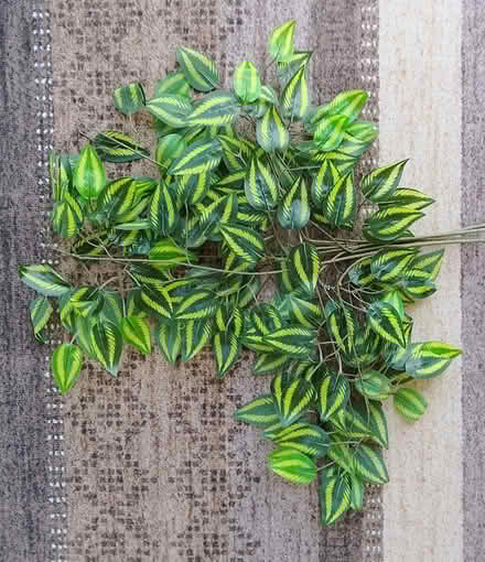 Photo of free Artificial plants (Stirling FK8) #1