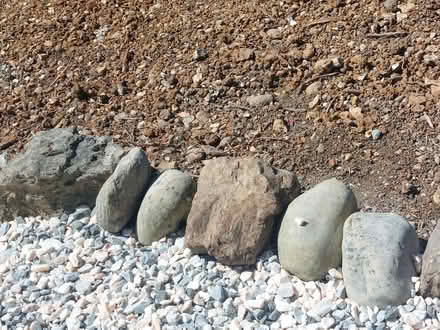 Photo of Garden Rocks (Welwyn AL6) #3