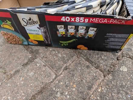Photo of free Kitten Food (KT11 3DE) #2