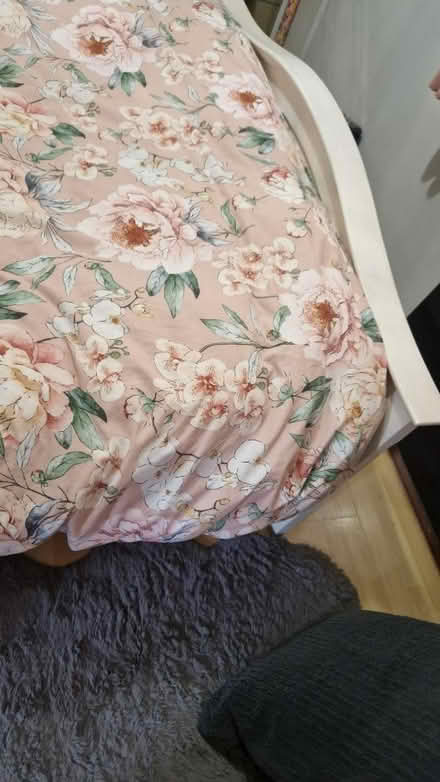 Photo of free Double bed and matress (AL2) #2