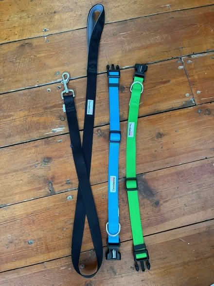 Photo of free 2 dog collar and 1 lead (Woodlands TW7) #1