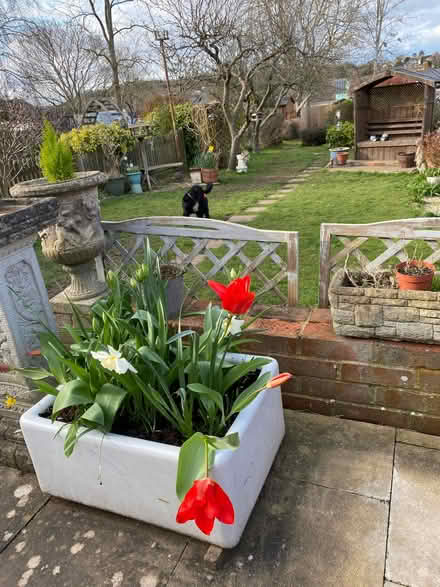 Photo of free Fireclay ceramic sink, as planter (Strood, ME2) #1