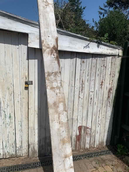Photo of free Old plank of wood (Pebsham TN40) #1