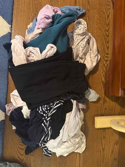 Photo of free Women’s clothes size large/12 (Wolftrap) #1