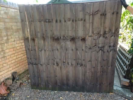 Photo of free Fence panels (Hemel hempstead) #2