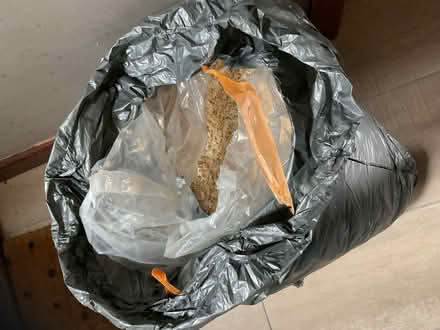 Photo of free Saw dust (North Norwich) #1