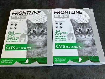 Photo of free Frontline flea drops - cat (Rusthall) #1