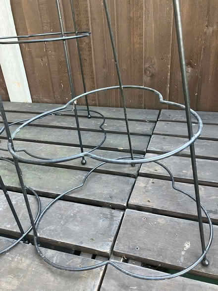 Photo of free Garden Plant Supports x 3 (Basildon SS14) #3