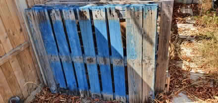 Photo of free Large blue pallet (Wokingham RG40) #1