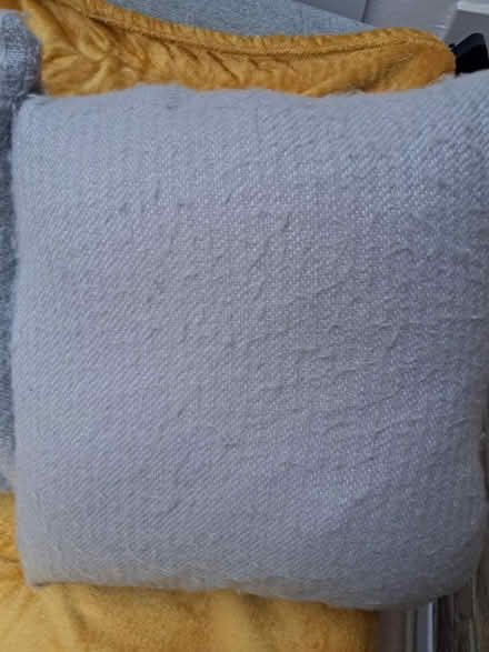 Photo of free 2 Sofa Cushions (Weybridge KT13) #3