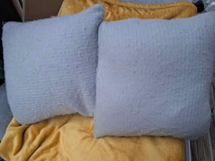 Photo of free 2 Sofa Cushions (Weybridge KT13) #1