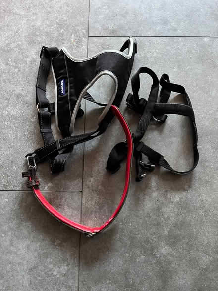 Photo of free Dog cushions and harnesses (De Parys MK40) #2