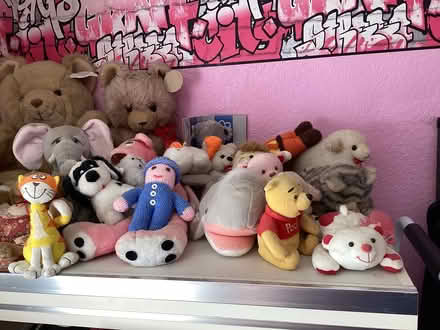 Photo of free Soft toys (Terrington St John) #1
