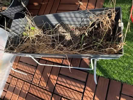 Photo of free Balcony planter with rail hanging (Islington N1 (essex road)) #2