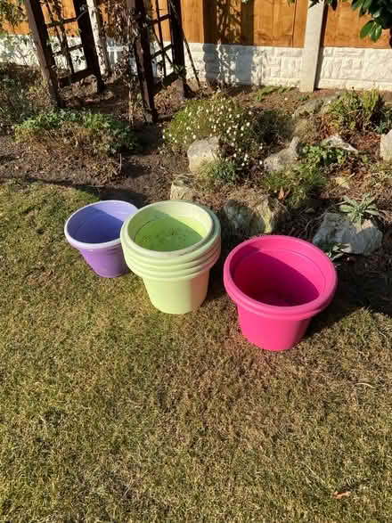 Photo of free Coloured plant pots (Aigburth L19) #2