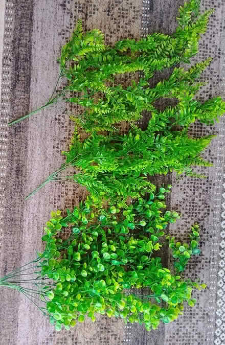 Photo of free Artificial plants (Stirling FK8) #2