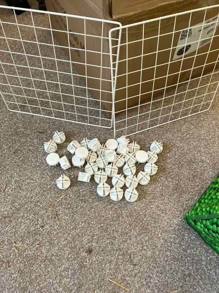 Photo of free C and c animals cage (Shrewsbury) #1
